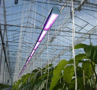 LED rastlina raste luči .png LED plant grow lights .png